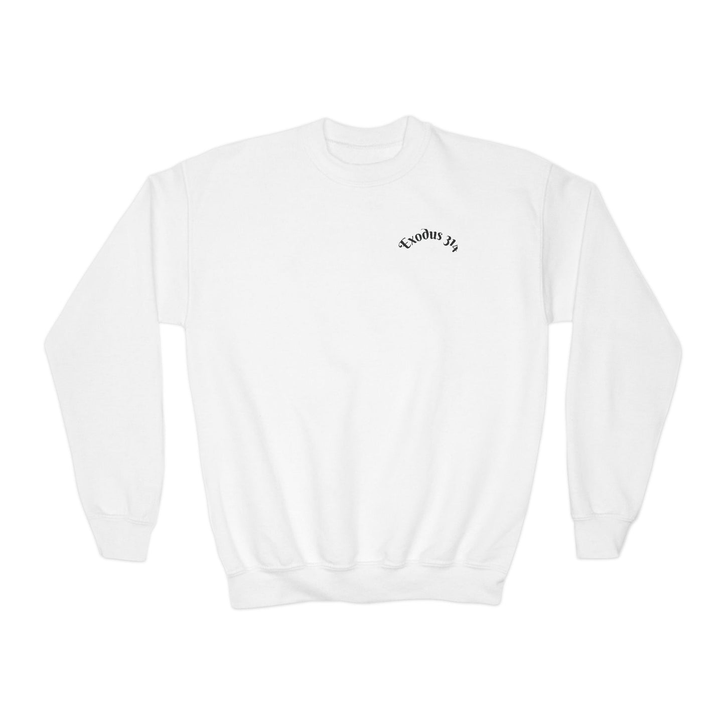 Youth Crewneck Sweatshirt